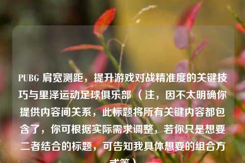 PUBG 肩宽测距,提升游戏对战精准度的关键技巧与里泽运动足球俱乐部 (注,因不太明确你提供内容间关系,此标题将所有关键内容都包含了,你可根据实际需求调整,若你只是想要二者结合的标题,可告知我具体想要的组合方式等)