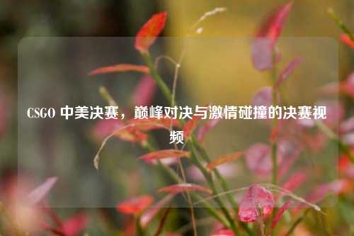 CSGO 中美决赛，巅峰对决与激情碰撞的决赛视频