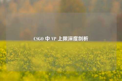CSGO 中 VP 上限深度剖析