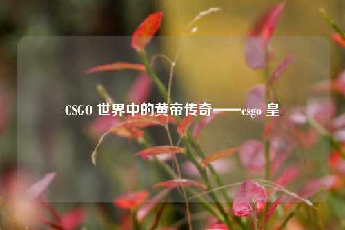 CSGO 世界中的黄帝传奇——csgo 皇