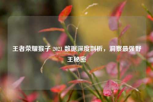 王者荣耀猴子 2021 数据深度剖析，洞察最强野王秘密