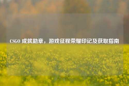CSGO 成就勋章，游戏征程荣耀印记及获取指南