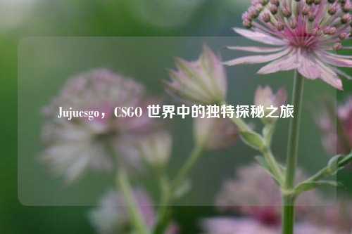 Jujucsgo，CSGO 世界中的独特探秘之旅