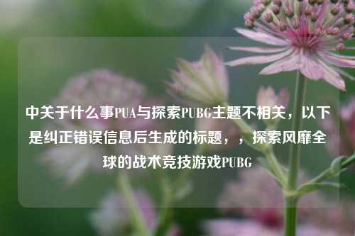 中关于什么事PUA与探索PUBG主题不相关,以下是纠正错误信息后生成的标题,,探索风靡全球的战术竞技游戏PUBG
