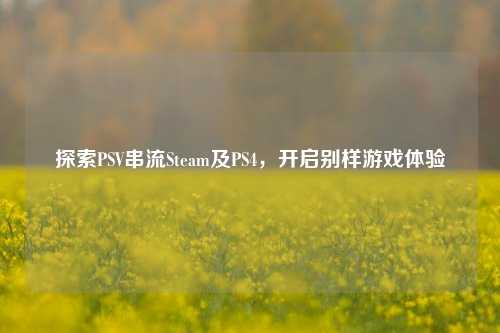 探索PSV串流Steam及PS4,开启别样游戏体验
