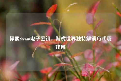 探索Steam电子密钥,游戏世界独特解锁方式及作用