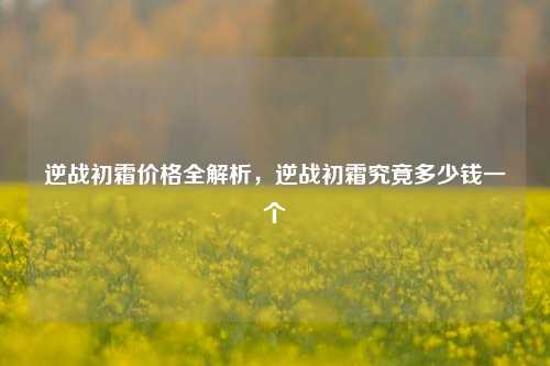 逆战初霜价格全解析,逆战初霜究竟多少钱一个