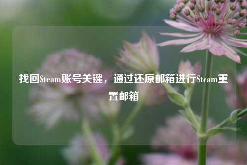 找回Steam账号关键,通过还原邮箱进行Steam重置邮箱