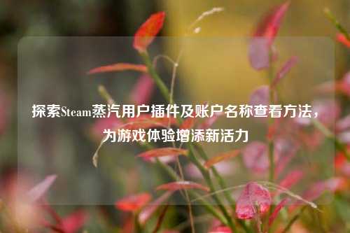 探索Steam蒸汽用户插件及账户名称查看方法,为游戏体验增添新活力