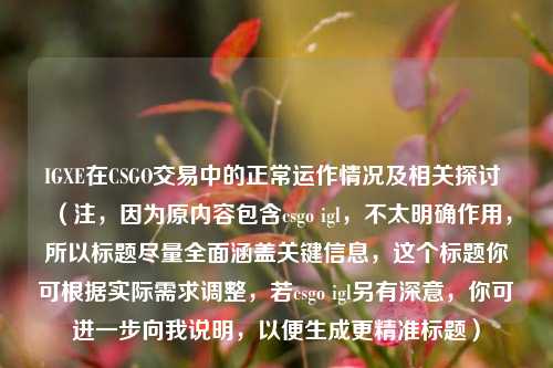 IGXE在CSGO交易中的正常运作情况及相关探讨 (注,因为原内容包含csgo igl,不太明确作用,所以标题尽量全面涵盖关键信息,这个标题你可根据实际需求调整,若csgo igl另有深意,你可进一步向我说明,以便生成更精准标题)