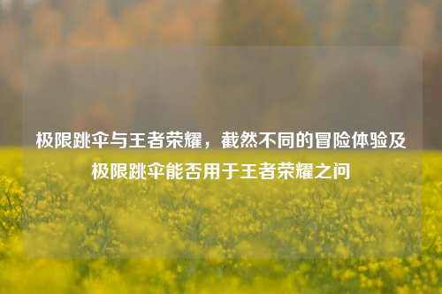 极限跳伞与王者荣耀，截然不同的冒险体验及极限跳伞能否用于王者荣耀之问