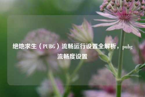 绝地求生(PUBG)流畅运行设置全解析,pubg流畅度设置