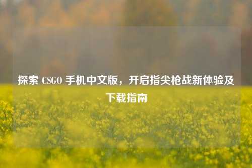 探索 CSGO 手机中文版,开启指尖枪战新体验及下载指南