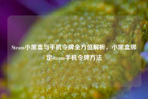 Steam小黑盒与手机令牌全方位解析,小黑盒绑定steam手机令牌方法