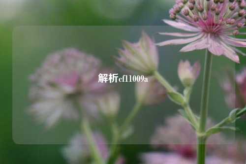 解析cf11009a