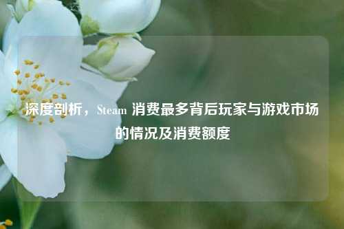 深度剖析,Steam 消费最多背后玩家与游戏市场的情况及消费额度