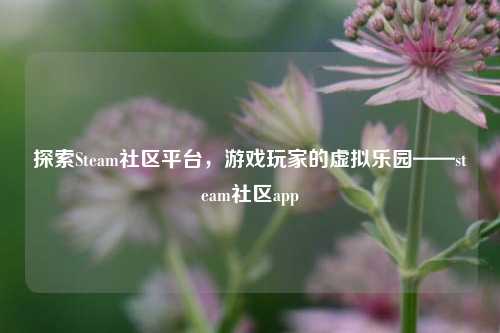 探索Steam社区平台，游戏玩家的虚拟乐园——steam社区app