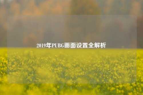 2019年PUBG画面设置全解析