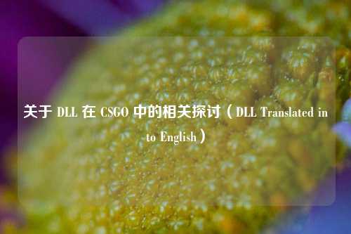 关于 DLL 在 CSGO 中的相关探讨(DLL Translated into English)