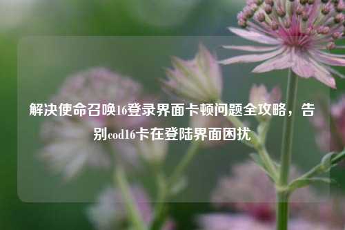 解决使命召唤16登录界面卡顿问题全攻略,告别cod16卡在登陆界面困扰