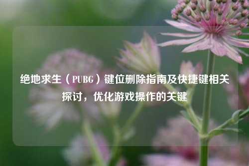 绝地求生(PUBG)键位删除指南及快捷键相关探讨,优化游戏操作的关键