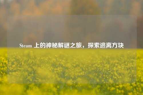 Steam 上的神秘解谜之旅,探索逃离方块