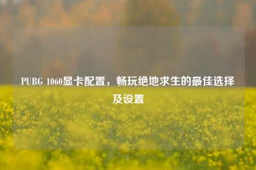 PUBG 1060显卡配置,畅玩绝地求生的最佳选择及设置