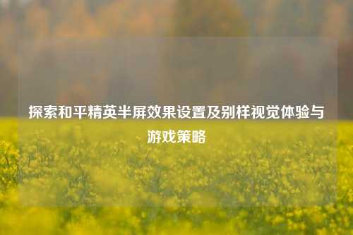 探索和平精英半屏效果设置及别样视觉体验与游戏策略