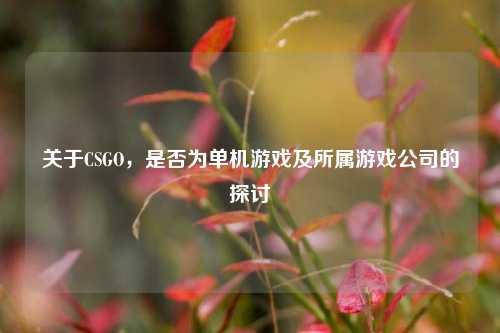关于CSGO，是否为单机游戏及所属游戏公司的探讨