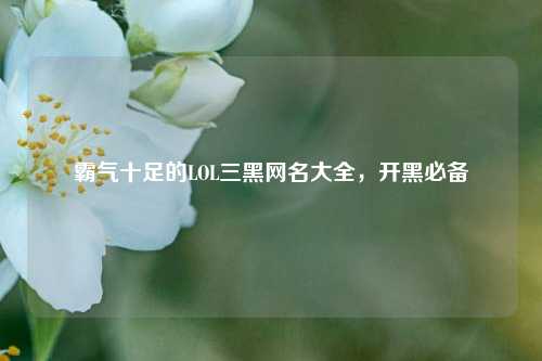 霸气十足的LOL三黑网名大全,开黑必备