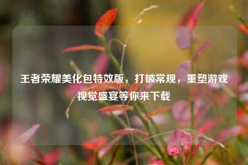王者荣耀美化包特效版,打破常规,重塑游戏视觉盛宴等你来下载