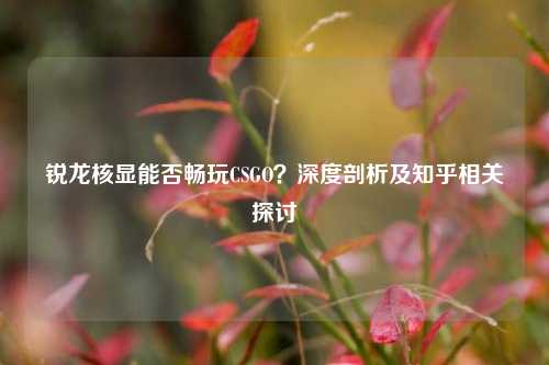锐龙核显能否畅玩CSGO?深度剖析及知乎相关探讨