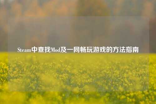 Steam中查找Mod及一同畅玩游戏的方法指南