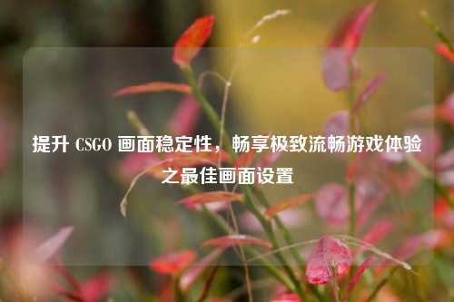 提升 CSGO 画面稳定性,畅享极致流畅游戏体验之最佳画面设置