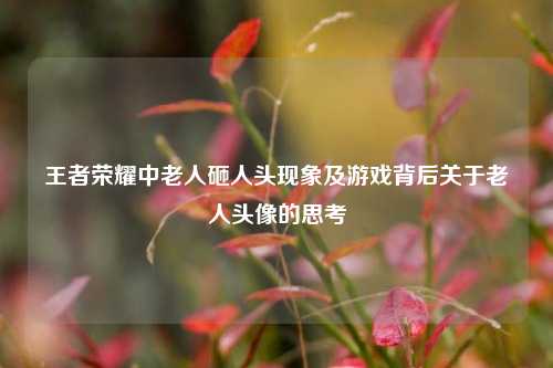 王者荣耀中老人砸人头现象及游戏背后关于老人头像的思考
