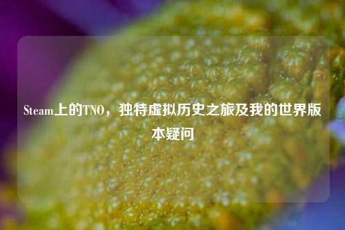 Steam上的TNO,独特虚拟历史之旅及我的世界版本疑问