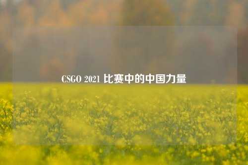 CSGO 2021 比赛中的中国力量