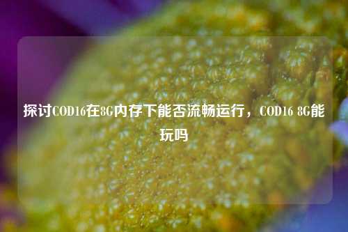 探讨COD16在8G内存下能否流畅运行,COD16 8G能玩吗