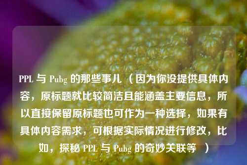 PPL 与 Pubg 的那些事儿 (因为你没提供具体内容,原标题就比较简洁且能涵盖主要信息,所以直接保留原标题也可作为一种选择,如果有具体内容需求,可根据实际情况进行修改,比如,探秘 PPL 与 Pubg 的奇妙关联等 )