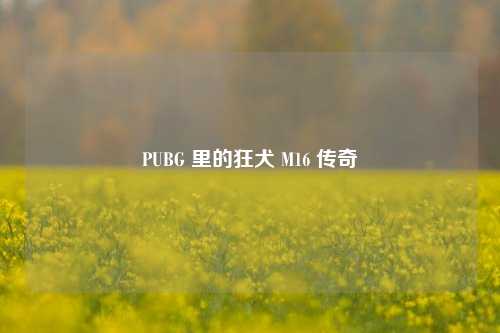 PUBG 里的狂犬 M16 传奇