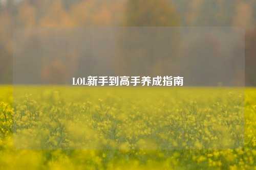 LOL新手到高手养成指南