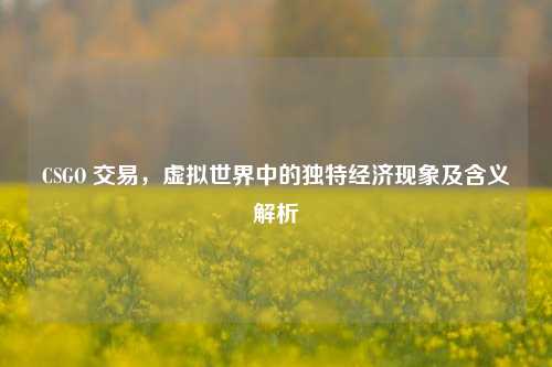 CSGO 交易,虚拟世界中的独特经济现象及含义解析