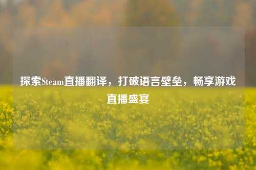 探索Steam直播翻译,打破语言壁垒,畅享游戏直播盛宴