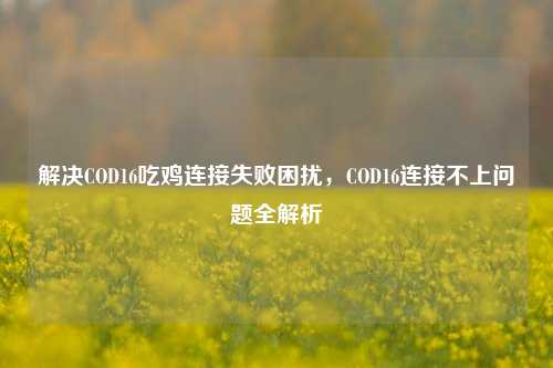 解决COD16吃鸡连接失败困扰，COD16连接不上问题全解析