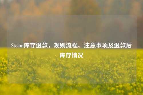 Steam库存退款,规则流程、注意事项及退款后库存情况
