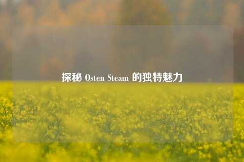 探秘 Osten Steam 的独特魅力