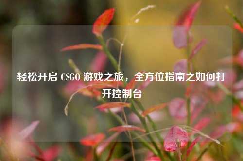 轻松开启 CSGO 游戏之旅,全方位指南之如何打开控制台