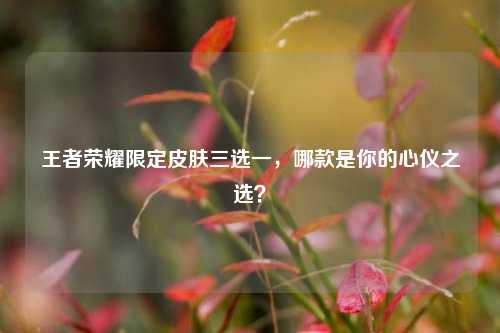 王者荣耀限定皮肤三选一,哪款是你的心仪之选?