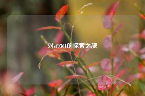 对cf0361的探索之旅