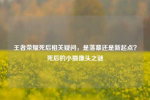 王者荣耀死后相关疑问,是落幕还是新起点?死后的小摄像头之谜
